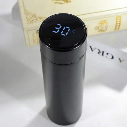Stainless Steel Water Bottle with LED Temperature Display